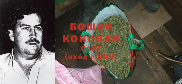 ПСИЛОЦИБИНОВЫЕ ГРИБЫ Рославль