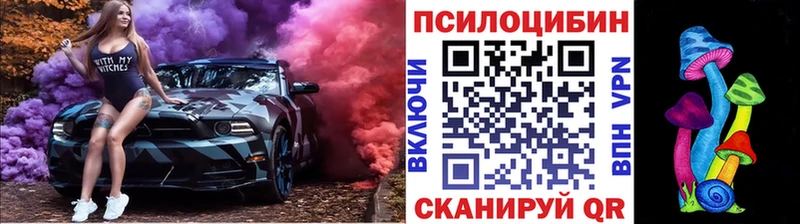 где купить наркоту  Благодарный  Псилоцибиновые грибы прущие грибы 